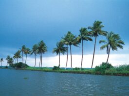 Malayalam  Whatsapp Group Link Join