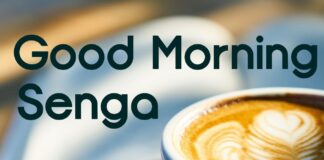 Senga Whatsapp Group link Join List 2022