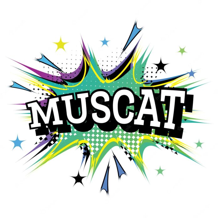 Muscat Whatsapp Group Link Join List