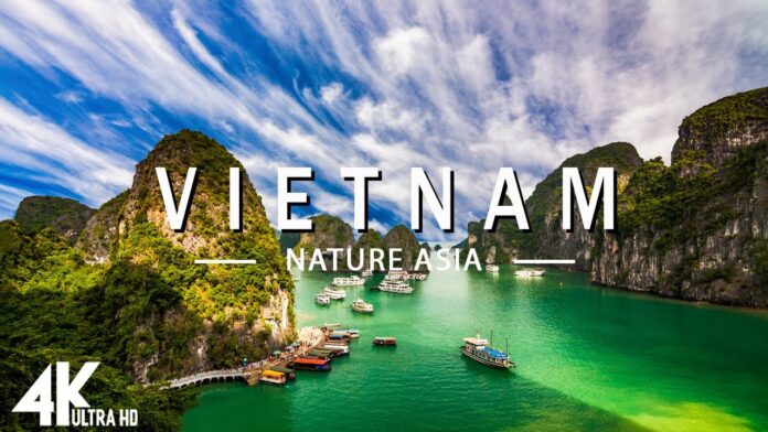 Vietnam Telegram ( Business,News,Study,Girls) Group Link Join List 2022