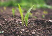 Agriculture WhatsApp Group Link Join List 2023