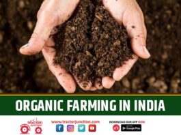 Organic Farming WhatsApp Group Link Join List 2024