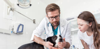 Veterinary Doctors WhatsApp Group Link Join List 2024