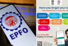 How To Know Information About UAN Online